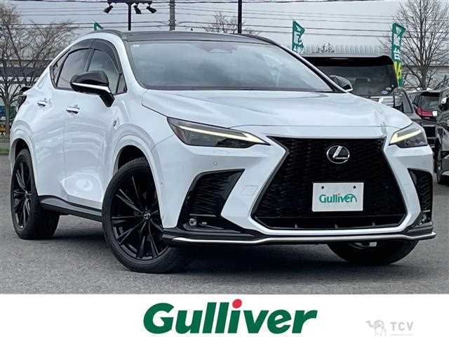 2023 Lexus NX