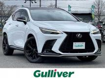 2023 Lexus NX