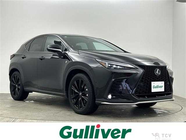 2025 Lexus NX