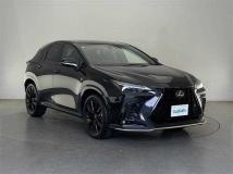 2024 Lexus NX