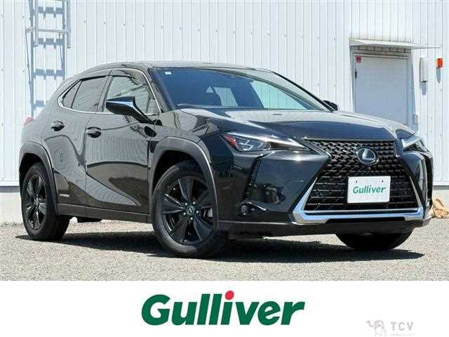 2019 Lexus UX