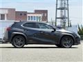 2019 Lexus UX