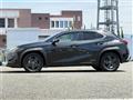 2019 Lexus UX