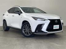 2022 Lexus NX