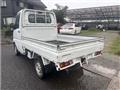 2009 Mitsubishi Minicab Truck
