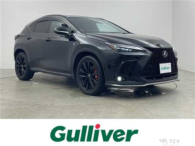 2023 Lexus NX