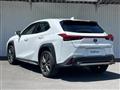 2020 Lexus UX