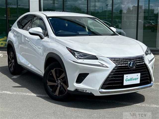 2019 Lexus NX