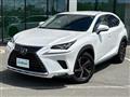 2019 Lexus NX