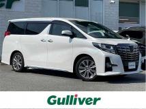 2017 Toyota Alphard