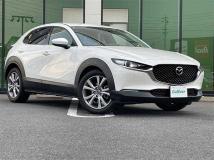 2019 Mazda CX-3