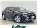 2019 Lexus UX