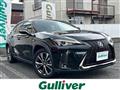 2019 Lexus UX