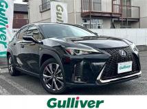 2019 Lexus UX