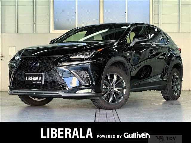 2019 Lexus NX