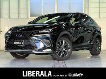 2019 Lexus NX