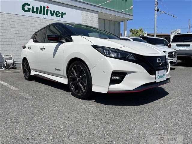 2021 Nissan Leaf