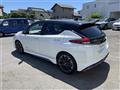 2021 Nissan Leaf