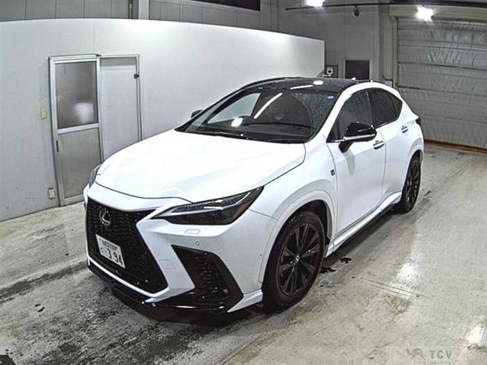 2025 Lexus NX