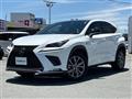 2019 Lexus NX