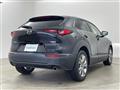 2021 Mazda CX-3