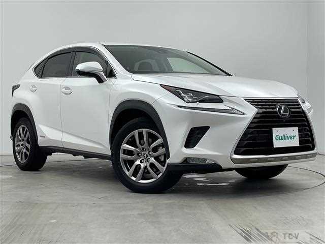 2020 Lexus NX