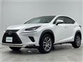 2020 Lexus NX