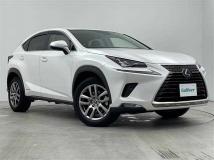 2020 Lexus NX