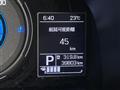 2019 Suzuki XBEE