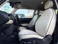2013 BMW MINI