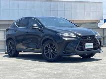 2022 Lexus NX