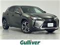 2019 Lexus UX
