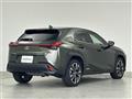 2019 Lexus UX