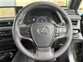 2019 Lexus UX