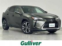 2019 Lexus UX