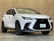 2022 Lexus NX