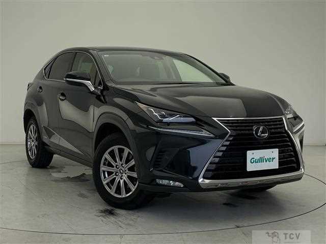 2019 Lexus NX