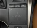 2019 Lexus NX