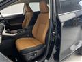 2019 Lexus NX