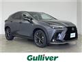 2024 Lexus NX
