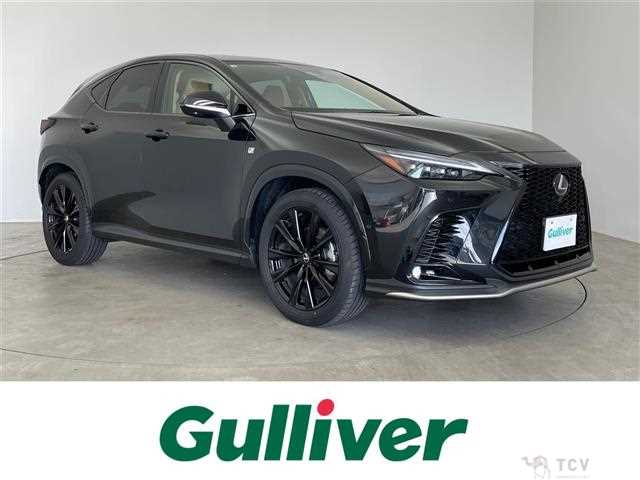 2025 Lexus NX