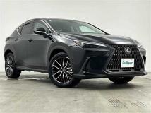 2023 Lexus NX