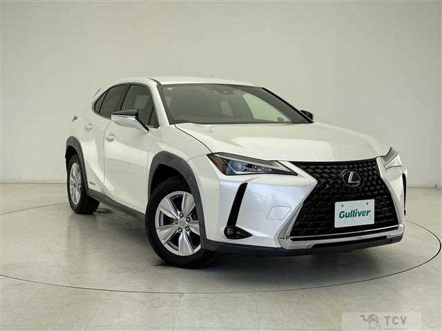2019 Lexus UX