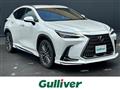 2023 Lexus NX