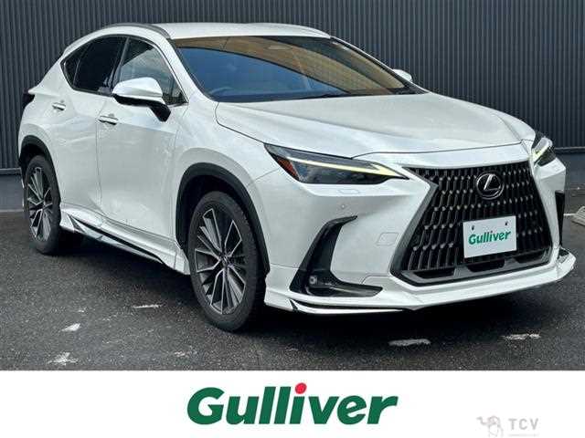2023 Lexus NX
