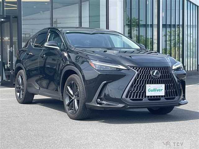 2024 Lexus NX