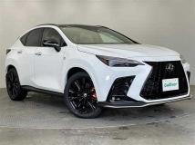 2025 Lexus NX