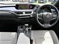 2019 Lexus UX