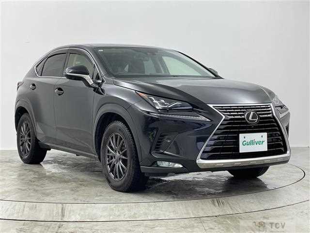 2019 Lexus NX