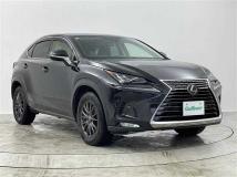 2019 Lexus NX